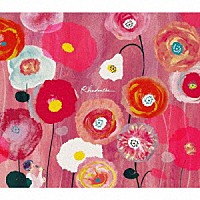 Ｍａｙｕｍｉ「 Ｒｈｏｄａｎｔｈｅ」