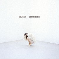 加藤ミリヤ 「Ｖｅｌｖｅｔ　Ｇｒａｃｅ」