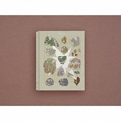 ずっと真夜中でいいのに。「形藻土」