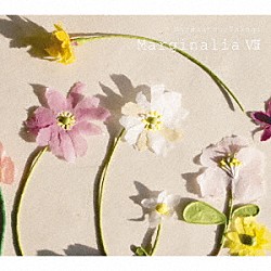 高木正勝「マージナリアⅧ」