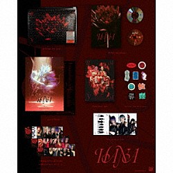 ＨＡＮＡ「ＨＡＮＡ」