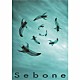 とた「Ｓｅｂｏｎｅ　－脊髄盤＋脊椎盤－」