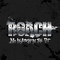 ＲＯＡＣＨ「Ｎｏ　Ｒｅａｓｏｎ　ｉｎ　ｔｈｅ　Ｐｉｔ」