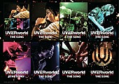 UVERworld「音楽で有名に…初ドキュメンタリー映画で紐解くUVERworldの想い」1枚目/1