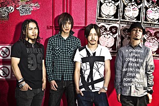 KNOCK OUT MONKEY「サマソニ出演控えるKNOCK OUT MONKEY 全国ツアー開催」