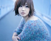 大塚愛「大塚 愛 ライブハウスツアー開催決定！」1枚目/1