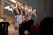 ＡＡＡ「AAA 12万人動員の全国ツアー遂に完走、「10年20年と変わらず…」」1枚目/1