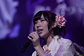 AKB48「【リクエストアワー】 En3.もしも私が空に住んでいたら」45枚目/50