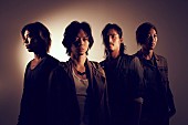 THE BACK HORN「THE BACK HORN 石巻などで行った追加公演ドキュメントを独占放送」1枚目/4