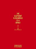 エレファントカシマシ「ボックスセット『the fighting men&amp;#039;s choronicle ～THE ELEPHANT KASHIMASHI official live bootleg box～』」2枚目/5