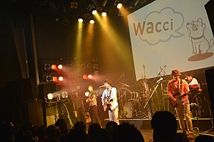 wacci「wacci ワンマンで新曲披露、女性を口説く法則も伝授!?」