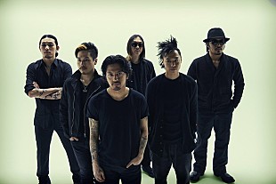 Dragon Ash「Dragon Ash 初ライブDVD＆BDの収録曲を発表、トータル200分超」