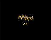 ＧＡＣＫＴ「アルバム『BEST OF THE BEST vol.1 -WILD-』　豪華BOXセット」10枚目/10