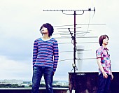 カミナリグモ「カミナリグモ 完全2人編成でセルフカバー＆新曲入りアルバム発売」1枚目/1