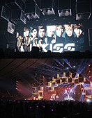 Ｕ－Ｋｉｓｓ「U-KISS 2年連続【a-nation】に出演、大勢の観客を魅了」1枚目/1