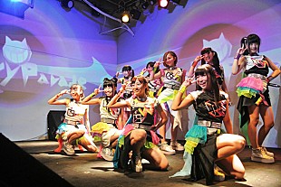 Ｃｈｅｅｋｙ　Ｐａｒａｄｅ「スタアパ＆ヒゲドライバーがチキパをREMIX、BEAMSとのコラボグッズも」