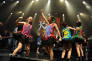 ひめキュンフルーツ缶「最強のご当地アイドル ひめキュンが歴戦2バンドとの共演実現」