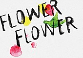 ＦＬＯＷＥＲ　ＦＬＯＷＥＲ「」5枚目/5