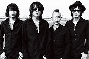 The Birthday「The Birthday 新曲「LEMON」の初オンエアが決定」