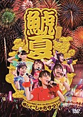 チームしゃちほこ「ももクロの妹分チームしゃちほこ 野音や初ホールに挑んだ【しゃちサマ♪】映像化」1枚目/2