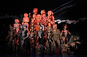 劇団四季『キャッツ』日本公演がロングランを達成し30周年 | Daily 