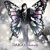 ＤＡＩＧＯ「シングル『BUTTERFLY/いま逢いたくて…』 通常盤」5枚目/5