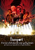 flumpool「flumpool 5周年ライブからMaydayとの映像を公開」1枚目/1