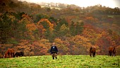 元ちとせ「」3枚目/4