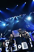 w-inds.「w-inds. 開催直前に早くも武道館公演のライブDVD＆BD化を発表」1枚目/1