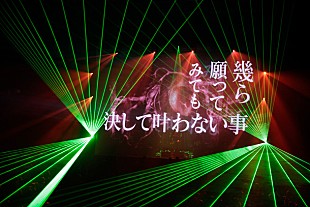 amazarashi「amazarashi 映像技術を駆使した新ツアーで圧巻ライブ」