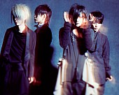 Ｐｌａｓｔｉｃ　Ｔｒｅｅ「Plastic Tree 20周年“樹念”リリース第1弾詳細発表」1枚目/1