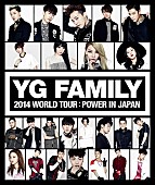 BIGBANG「BIGBANGら出演【YG FAMILY WORLD TOUR】にTEAM Bの出演が決定」1枚目/1