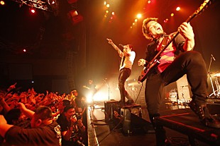 「SiMキュレート【Bowline】でACIDMAN、BiSら8組が2400人を熱狂と混沌の渦に」