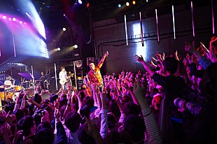「ウルフルズ、限定250人のプレミアムショーで「懐かしいな、渋谷でライブ」」