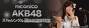 「AKB48 注目の選抜総選挙速報をニコ生で生中継」