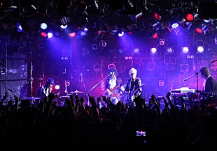 「FLOWER FLOWER 思い入れ深い1曲「神様」リリース決定」