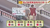 大塚愛「大塚 愛 47体の等身大パネルが日本中を席巻＆夏にはALとツアーも」1枚目/5