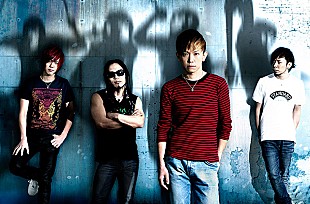 「KNOCK OUT MONKEY 猿ロゴ入りオリジナルZippoライター販売」