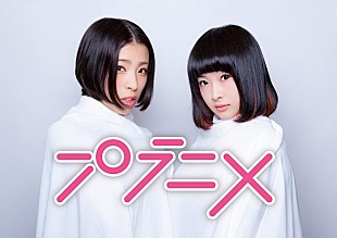 「カミヤサキ（元BiS）×いずこねこ 新ユニット“プラニメ”結成」