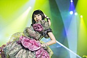 二階堂ふみ「映画『日々ロック』ヒロイン演じる二階堂ふみのアイドルっぷりと凶暴ロッカーっぷりに要注目」1枚目/2