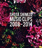 清水翔太「ビデオクリップ集『SHOTA SHIMIZU MUSIC CLIPS 2008-2014』　Blu-ray」8枚目/9