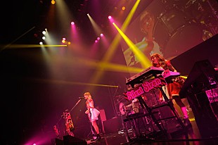 「夏シングルがデイリー2位のサイサイ 主催イベやフェス出演など今夏の大活躍は続く」