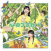 AKB48「シングル『心のプラカード』　Type C 通常盤」30枚目/32