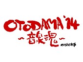 フラワーカンパニーズ「今週末開催！10周年を迎えた【OTODAMA&amp;#039;14～音泉魂～】今年は2Days！怒髪天やOKAMOTO&amp;#039;S、サンボマスター、ユニコーン…トリはもちろんフラカン!!」1枚目/1