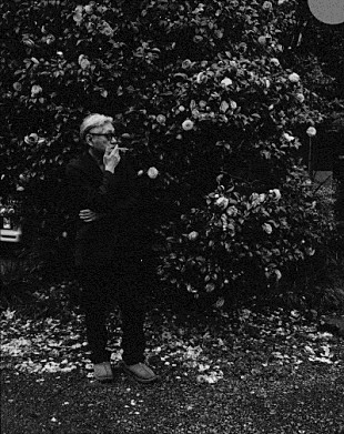 「細野晴臣、OGRE YOU ASSHOLE、NATURE DANGER GANGが【YEBISU MUSIC WEEKEND】に出演決定」