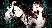 VAMPS「VAMPS 恒例ハロウィンライブにDAIGO、氣志團、金爆、ももクロ、乃木坂46ら」1枚目/12