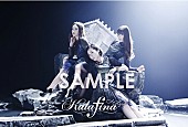 Ｋａｌａｆｉｎａ「」5枚目/11