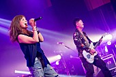 Do As Infinity「Do As Infinity 15周年に伴都美子から大渡亮へ贈られた手紙」1枚目/4