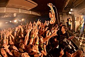 TOTALFAT「【スペシャ列伝】107回目はTOTALFAT、ノクモン、ファジコン、ハロスリの重量打線が“鬼退治”で狂喜乱舞」1枚目/50