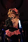 ＬｏＶｅｎｄｏЯ「モーニング娘。OG田中れいな擁する“LoVendoЯ”全国ツアーで筋少「再殺部隊」カバー」1枚目/18